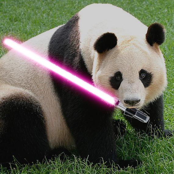 Les Pandawan - Que la force soit avec nous !