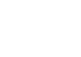 Logo d'Agir pour l'Environnement