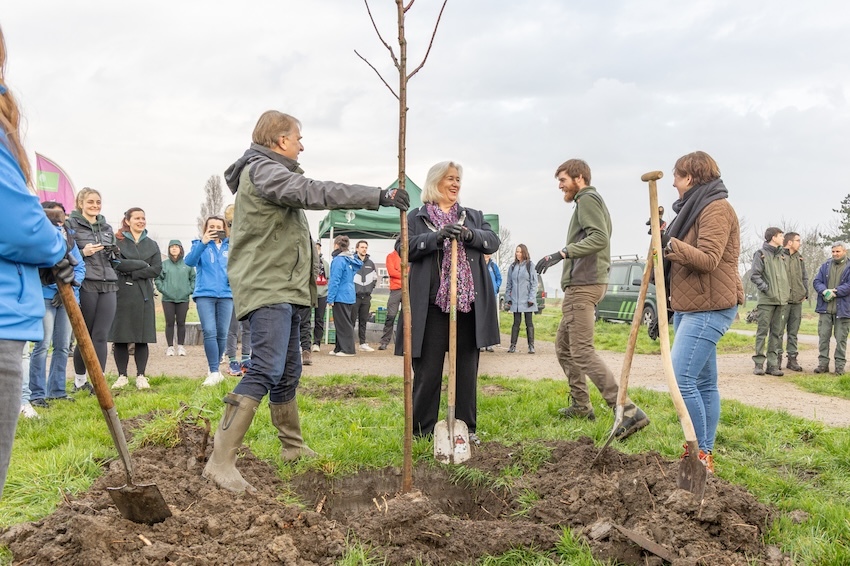 Bosaanplant Venneperhout afgerond
