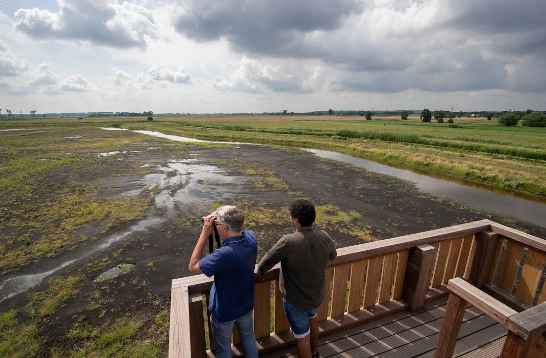 Herstelde uitkijktoren op de Binnenveldse hooilanden
