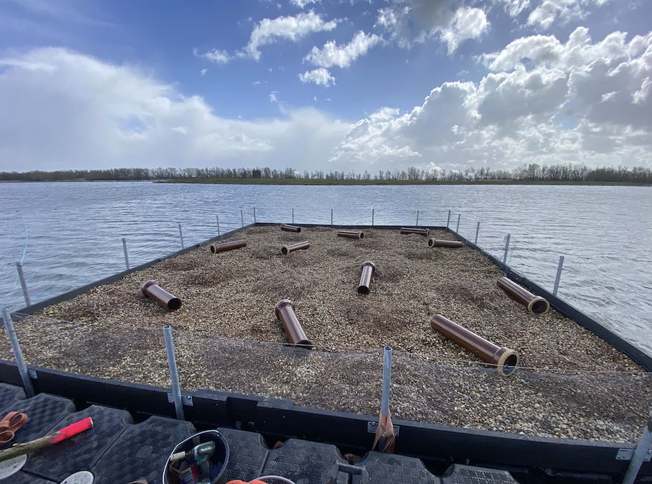 Visdiefparadijs Oeverlanden Hollands Diep