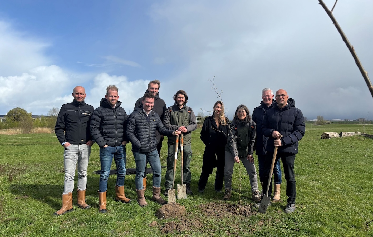 Nieuwe aanplant Voorne-Putten